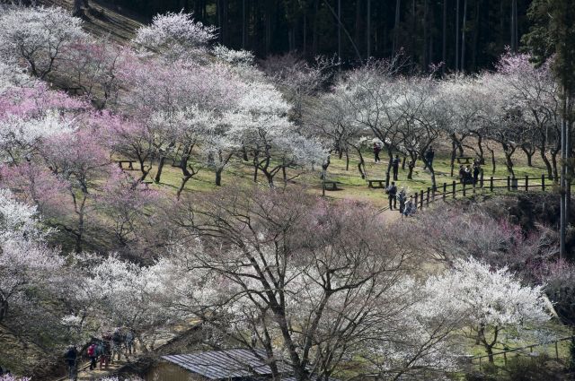 ���̉摜�͒��쌠�Ŏ���Ă��܂��B