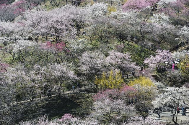 ���̉摜�͒��쌠�Ŏ���Ă��܂��B