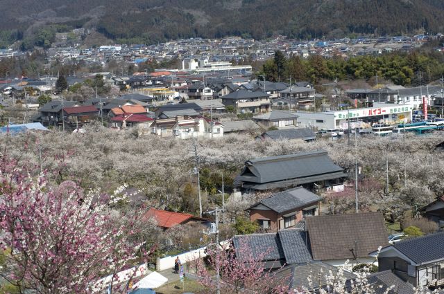 ���̉摜�͒��쌠�Ŏ���Ă��܂��B