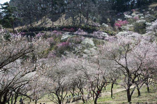 ���̉摜�͒��쌠�Ŏ���Ă��܂��B