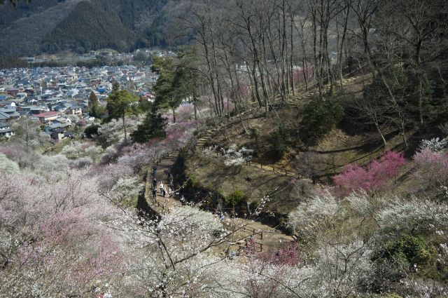���̉摜�͒��쌠�Ŏ���Ă��܂��B