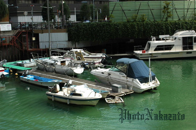 img0008.jpg