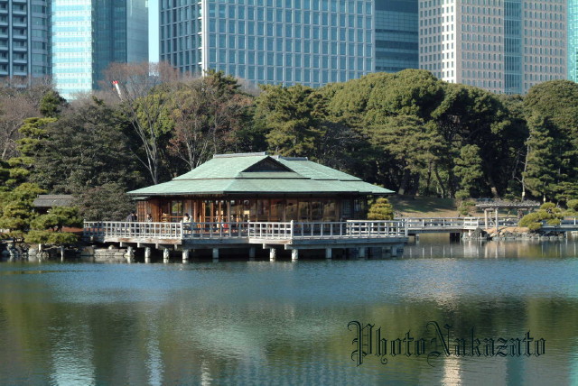 img0012.jpg