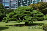 img0005.jpg