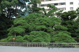 img0006.jpg