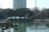 img0013.jpg