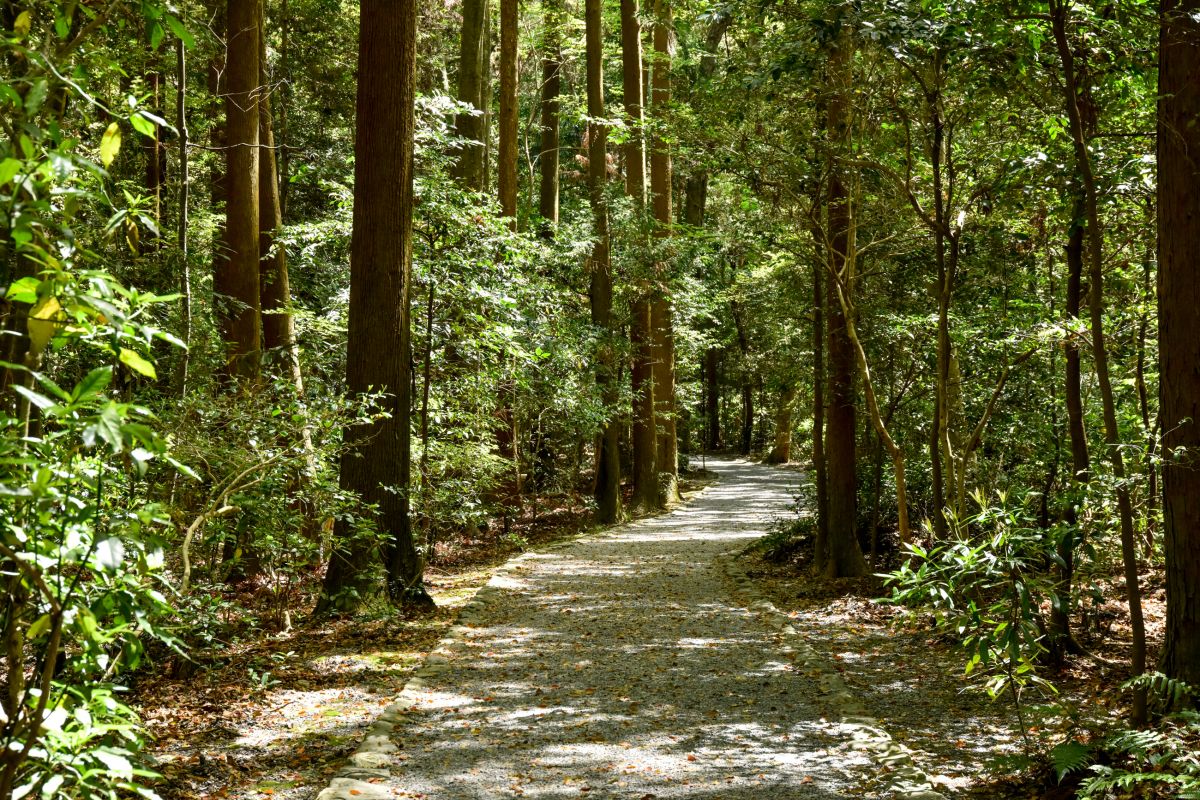 五十鈴川
